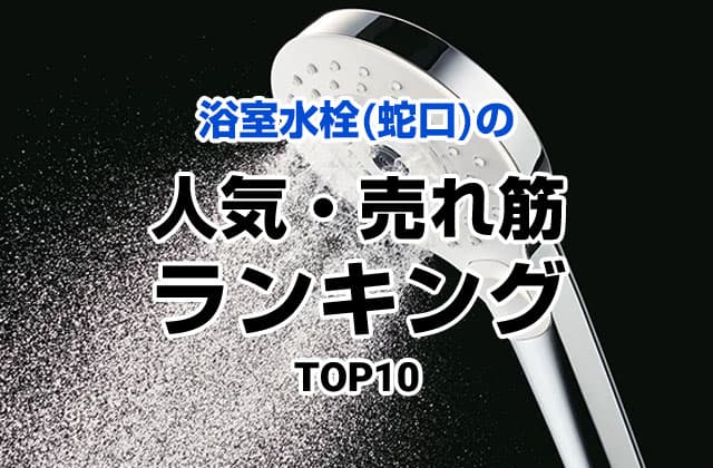 人気ランキング