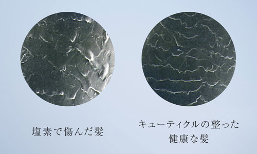 予洗いで髪や頭皮をしっかりケア