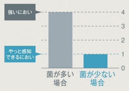 ニオイの比較