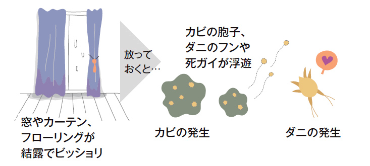 結露が発生してカビなどが生えることを説明している図