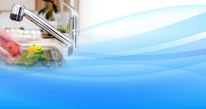 車の鳥のふん対策 取り方と予防法を両方解説します 生活堂