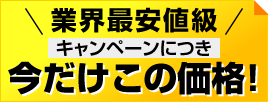 期間限定キャンペーンにつき今だけこの価格！