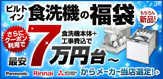 ビルトイン食洗機福袋