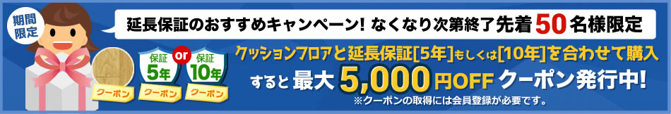 有料延長保証同時購入クーポン