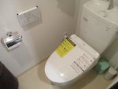 TOTO 温水洗浄便座 TCF8CS67-NW1-KJ