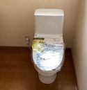 TOTO トイレ TSET-ZJR-WHI-0