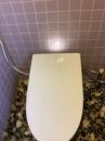 TOTO トイレ TSET-NEA1-WHI-R