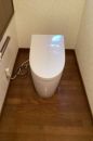 TOTO トイレ TSET-NEA2-WHI