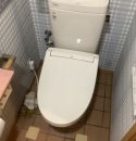 LIXIL トイレ TSET-AZ8-IVO-1