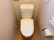 LIXIL アメージュ便器 トイレ BC-Z30S+DT-Z380-BW1+CW-KA31A-BW1