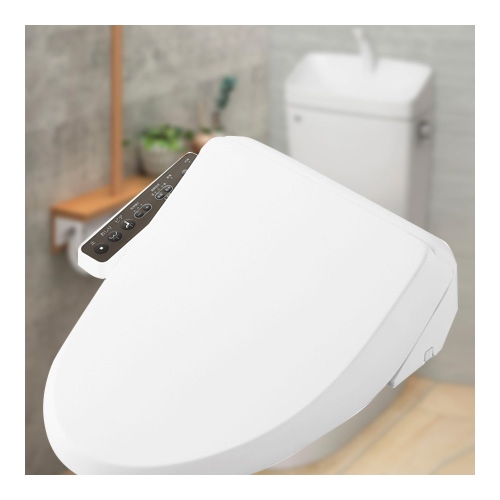 CW-RG1 BW1 [�s���A�z���C�g]