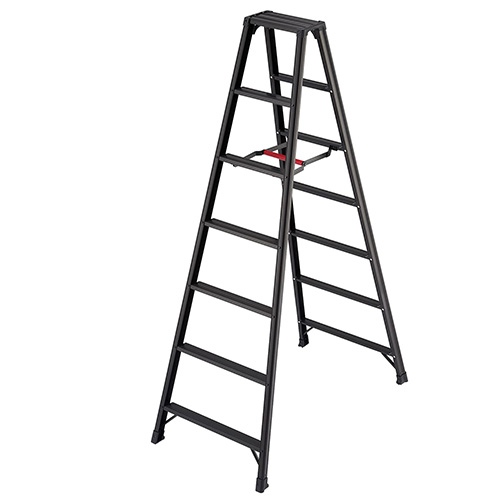 �r�yBLACK RZB-21b