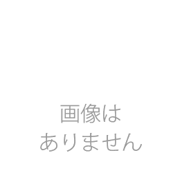 リンナイ　ガス給湯器部材≪RBO-40≫